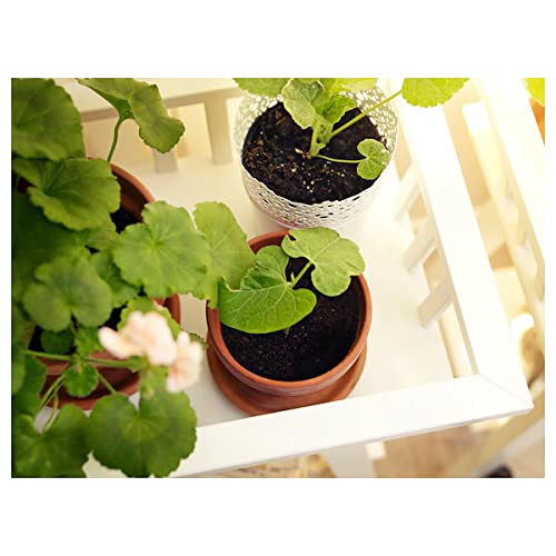 IKEA LANTLIV Plant Stand, White Color 68 cm (26 ¾